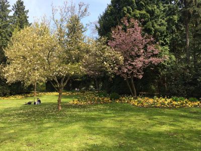 Ringpark in der Nähe