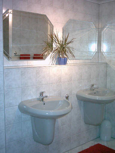 Würzburg Gästehaus Pleiner: Bad