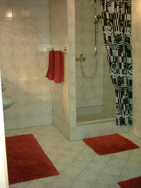 Würzburg Gästehaus Pleiner: Bad